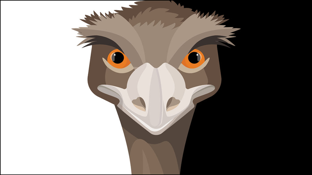 Great Emu War – Adventist Record