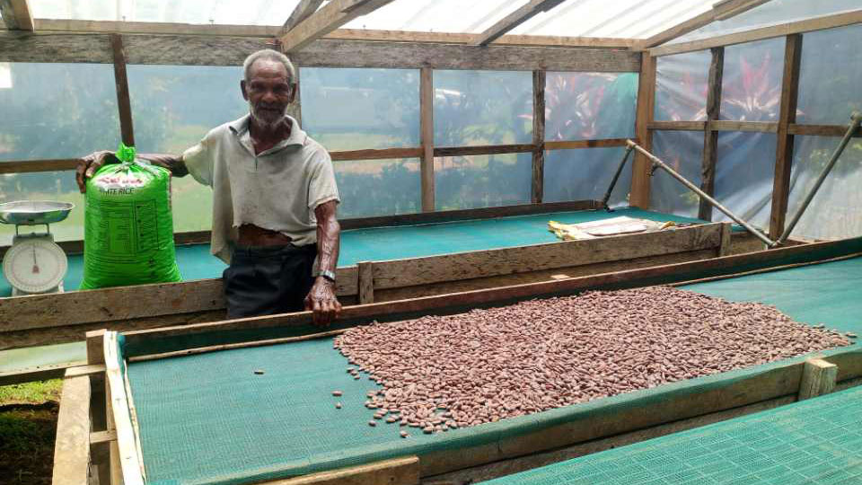 Cocoa farmer’s life transformed by ADRA project