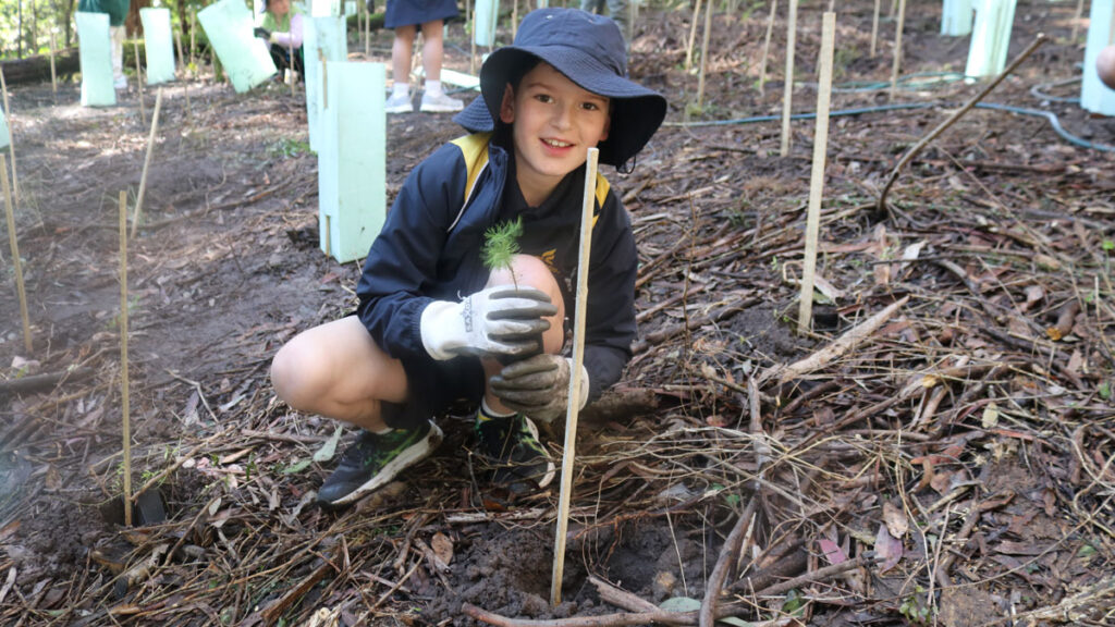 Students dig in for tree day