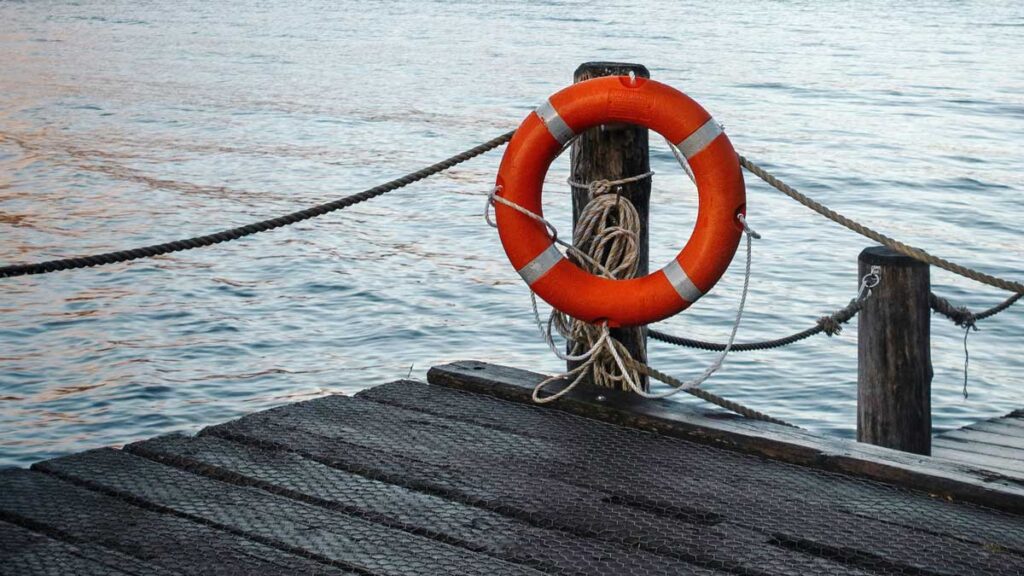 The stories of the rescued