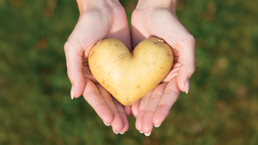 Are potatoes good for you?